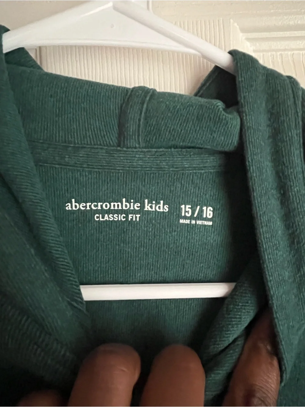 abercrombie kids Forest Green Hooded Pullover